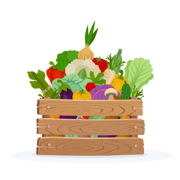 Fresh food